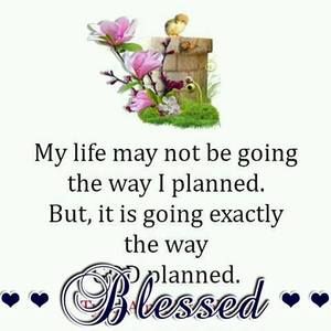 Meet your Posher, Peggy